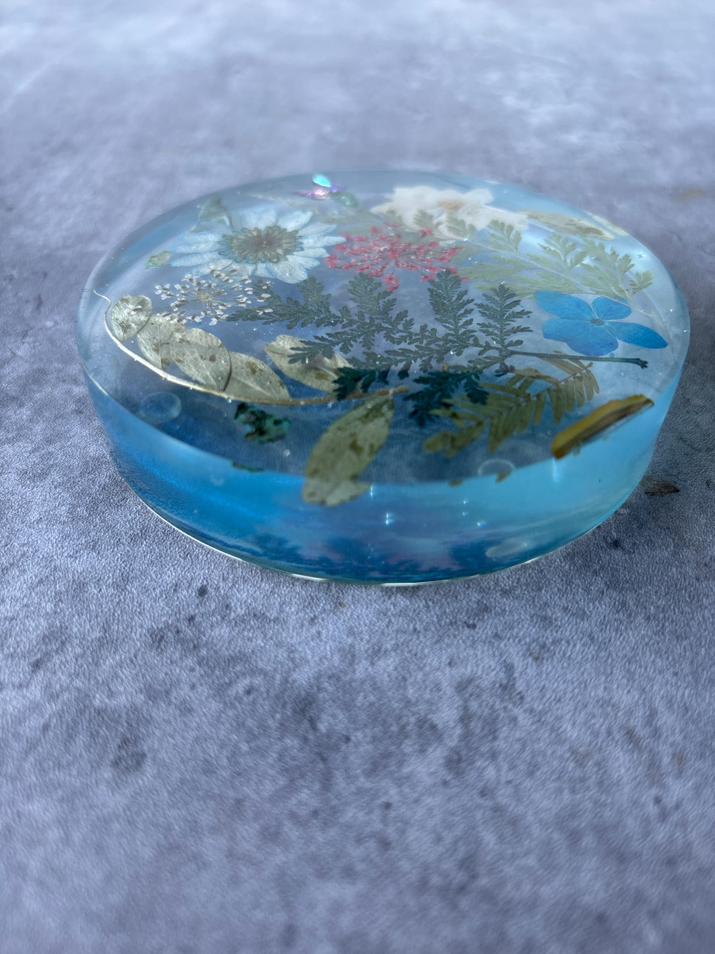 Serenity Coasters