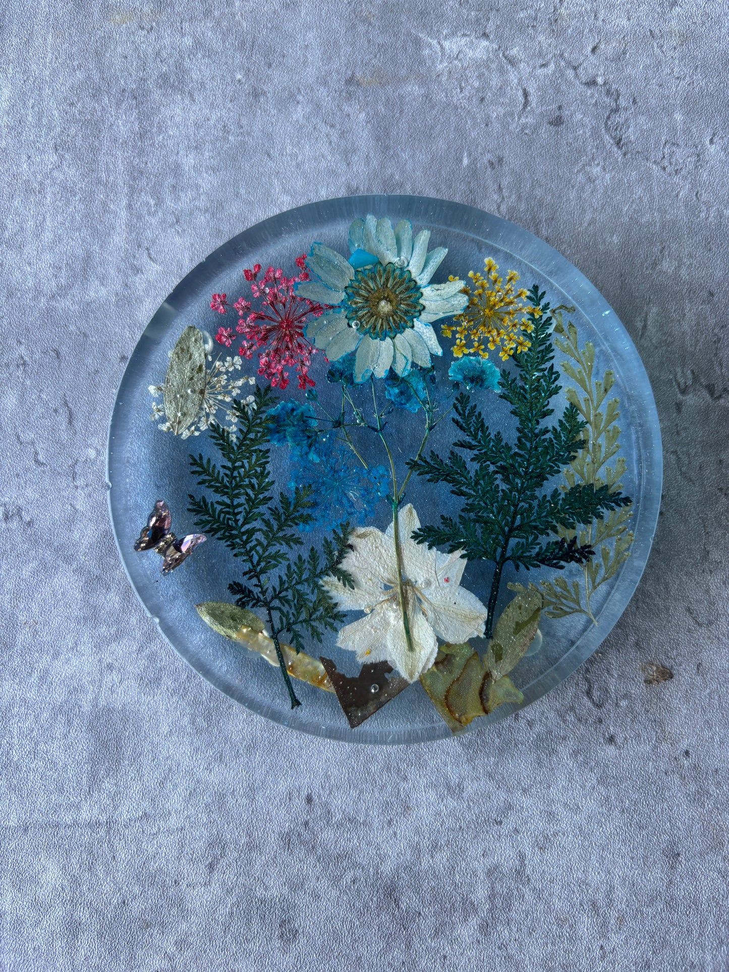Serenity Coasters