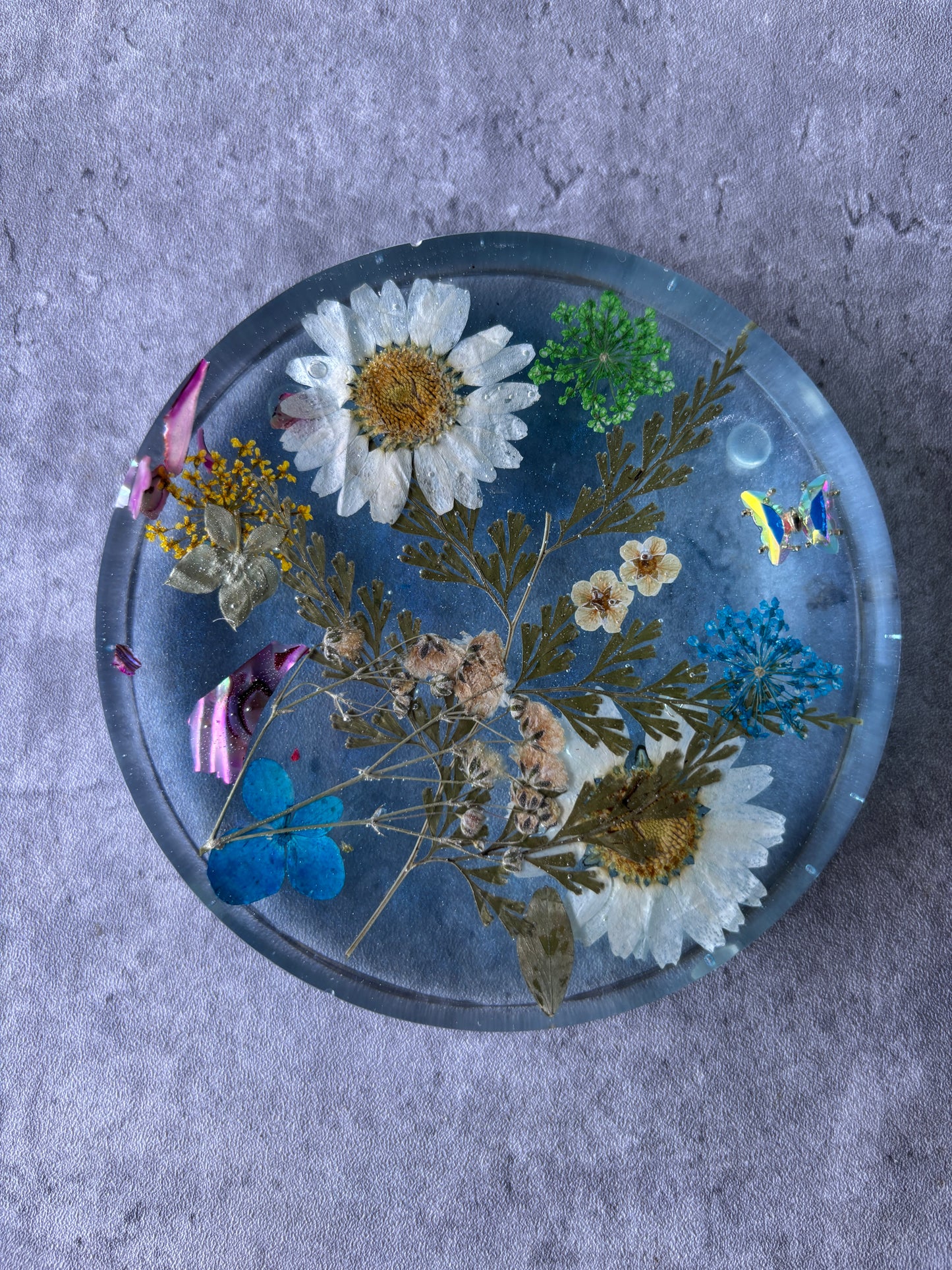 Serenity Coasters