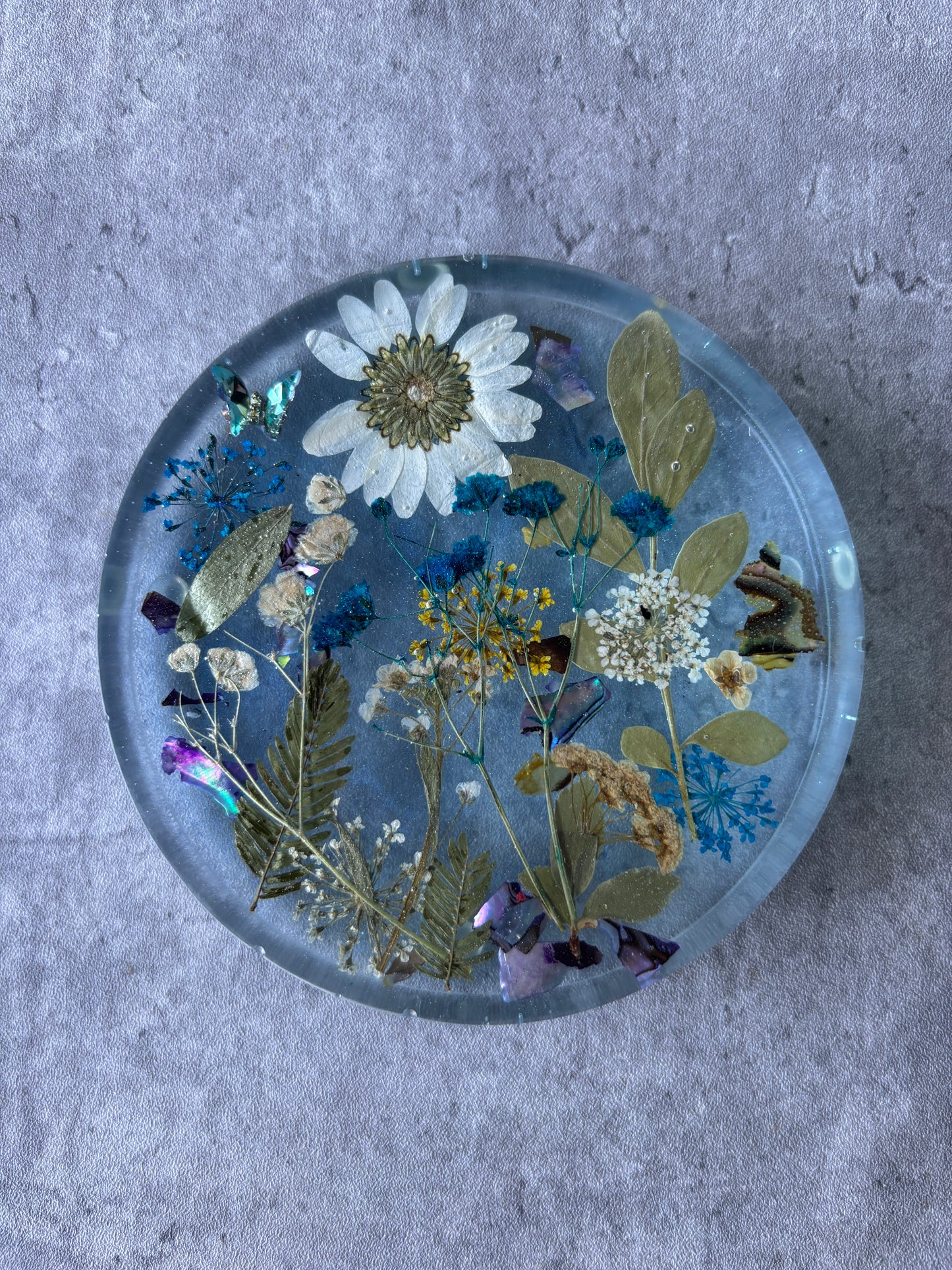 Serenity Coasters