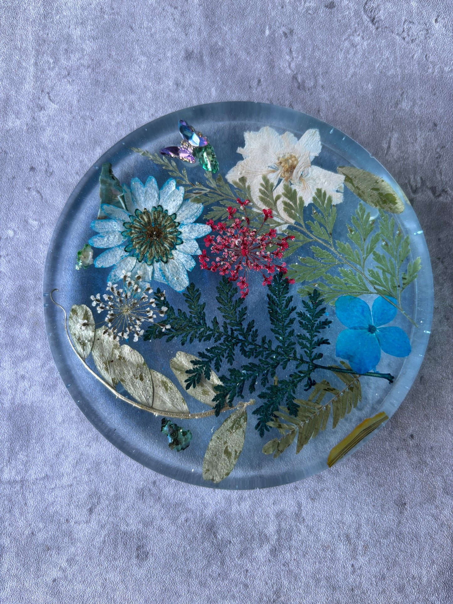 Serenity Coasters