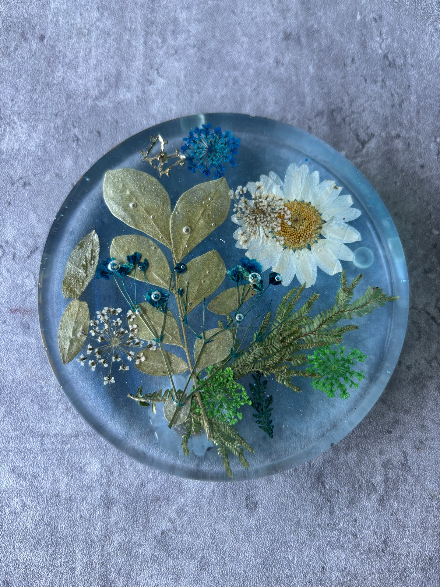 Serenity Coasters