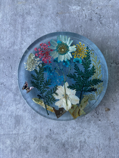 Serenity Coasters