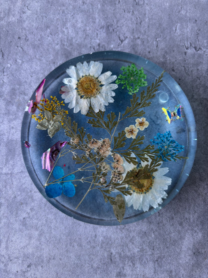 Serenity Coasters
