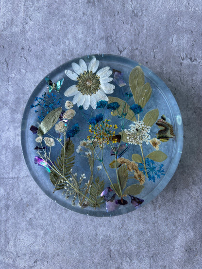 Serenity Coasters