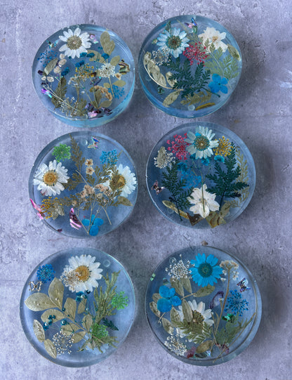 Serenity Coasters