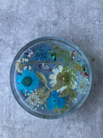 Serenity Coasters