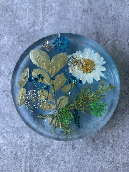 Serenity Coasters